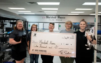 $1,000 Donated to Hairball Haven