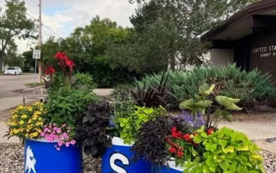 Rural Impact: Take a peak at these beautiful planters!